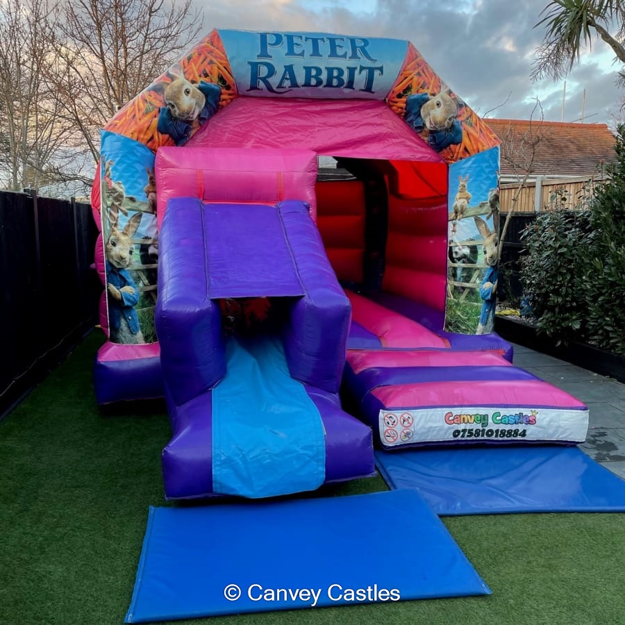 12ft x 17ft Pink and Purple Peter Rabbit Slide Combo Bouncy Castle ...