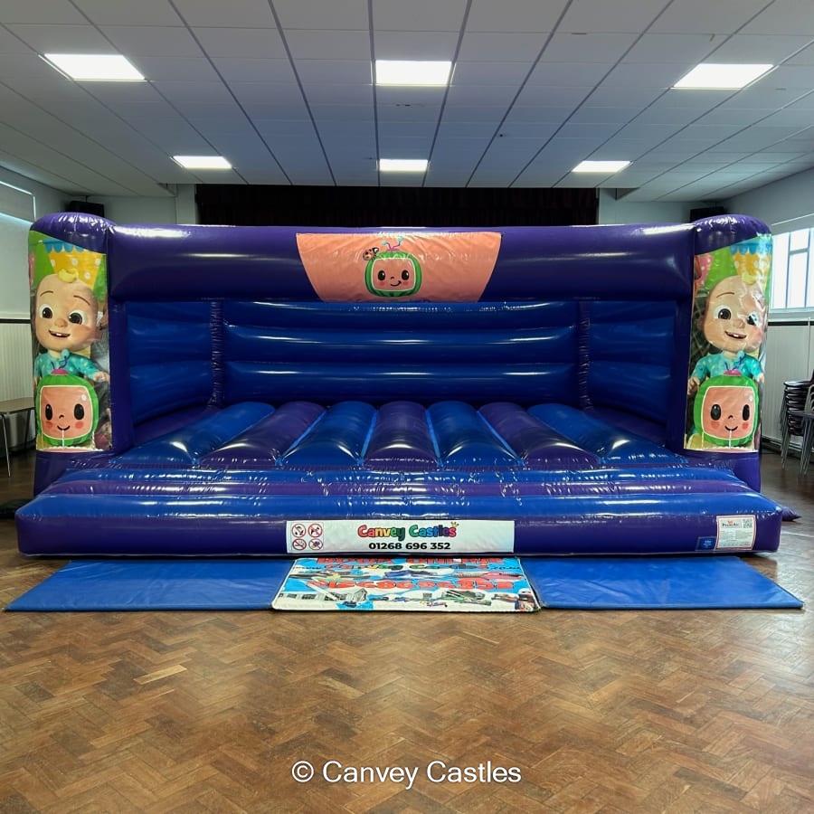 19ft x 18ft Blue and Purple Bouncy Castle (low height) Best