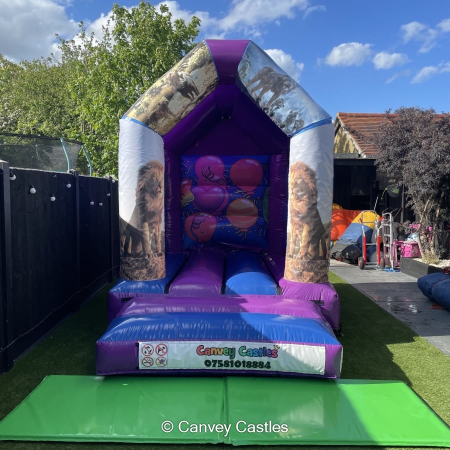 Extra Small Inflatable Bouncy Castle Hire in Essex Canvey Castles