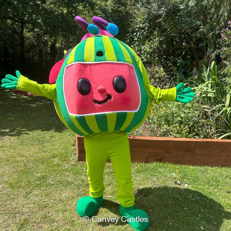 Best Mascot Suit Hire in Canvey Island, Essex Canvey Castles