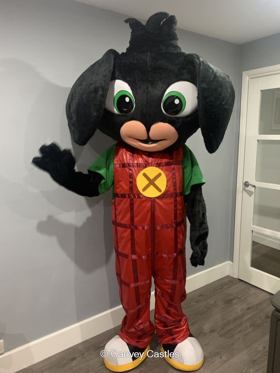 Best Mascot Suit Hire in Canvey Island, Essex Canvey Castles